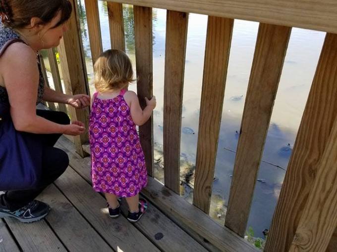 19511869_10155474919367628_882658920_n